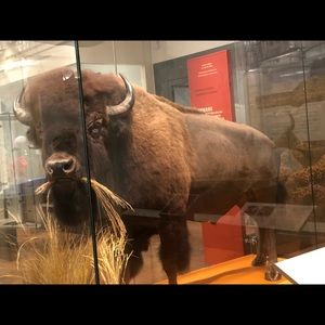 Meet your Posher, William